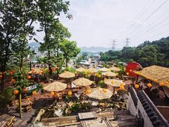 -伴山茶苑·一盏冰茶·半日山居
