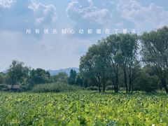 -西溪国家湿地公园