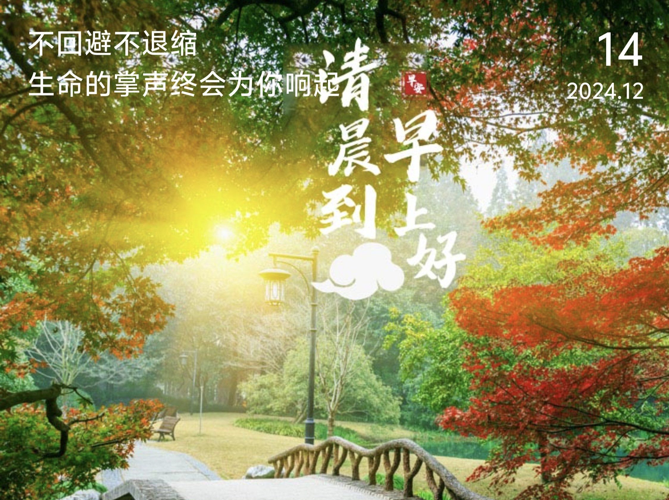 森林中的休闲时光