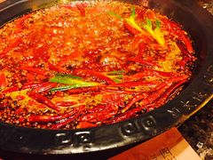 -蜀大侠火锅(建设路第五大道店)