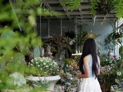 -三圣花乡旅游区