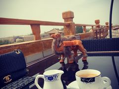 -敦煌山庄摘星阁
