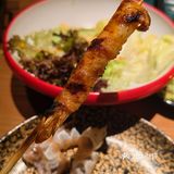 一口吃下春天｜268元深海鳌虾自助❗