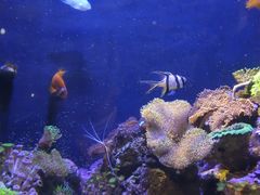 -成都浩海立方海洋公园