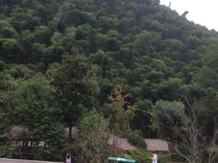 -藏龙百瀑风景区