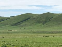 -塞罕坝国家级自然保护区