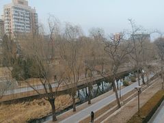 -元大都城垣遗址公园