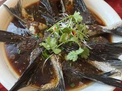 -旭龙鱼头王(航华店)