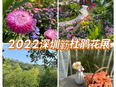 -莲花山公园