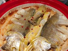 -1937青岛老味道·海肠捞饭·青岛菜(大鲍岛栈桥店)