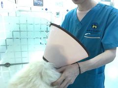 -动物缘宠物医院·骨科·猫科(西二环店)