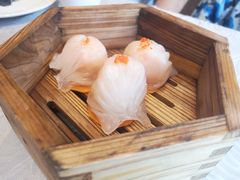 至尊虾饺皇-至尊强仔(正光北街店)