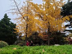 -八大关景区