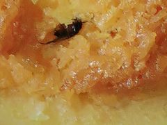 -香美刻(星城商厦店)