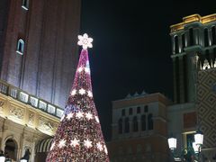 -澳门威尼斯人综合度假区