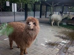 -长白岛森林公园