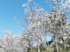 -幕燕滨江·燕子矶公园