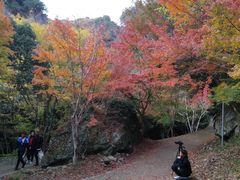 -小豆岛町