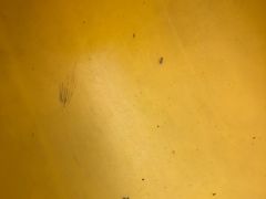 -林栖谷森林康养度假区