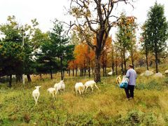 -西安秦岭野生动物园