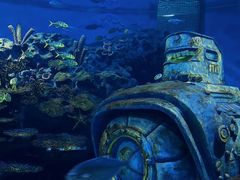 -海合安武汉极地海洋公园