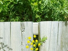 -敕勒川草原文化旅游区