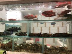 -岭南汇海鲜酒家·粤菜·手工茶点(蛇口店)