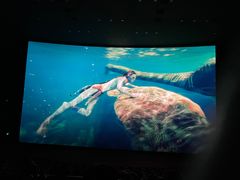-悦江新远影城IMAX