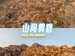 -红山国家森林公园