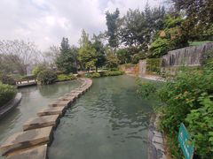 -成飞公园