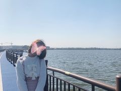 -鹅湖玫瑰文化园