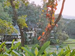 -四季酒店下午茶