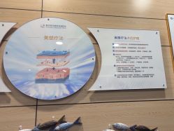 -重庆联合丽格第五医疗美容医院