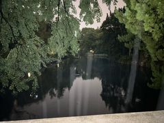 -叶家花园