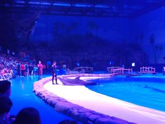 -华夏文旅海洋公园