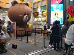 -line friends(明洞旗舰店)