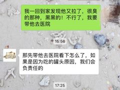-汪说喵讲宠物乐园宠物酒店(红星美凯龙店)