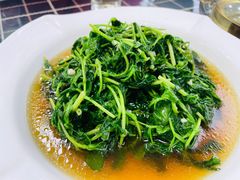 时令野菜-梦缘水乡·湖景餐厅