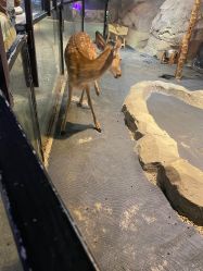 -酷嗒动物文化乐园(cutezoo西溪乐天城店)