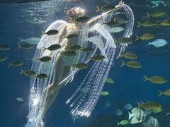 -海合安武汉极地海洋公园