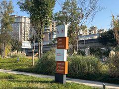 -神仙树公园