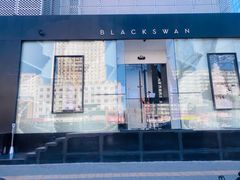 -BLACKSWAN黑天鹅(环球店)