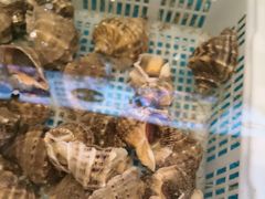 -锅老头铁锅炖•大锅蒸汽海鲜(韩乐坊店)