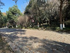 -南京市江宁方山