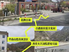 -王顺山国家森林公园