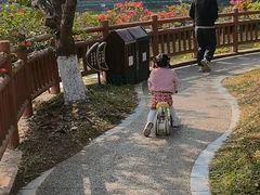 -大屏嶂森林公园