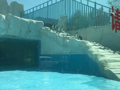 -新疆天山野生动物园