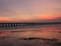 -宝安西湾红树林湿地公园