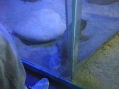 -常州海昌海洋探索馆