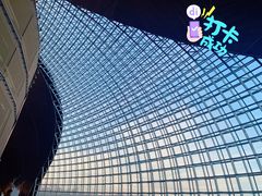 -国家大剧院
